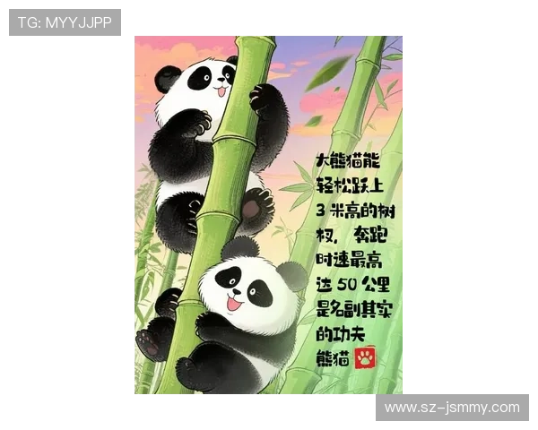 熊猫之友姚明携手保护大熊猫，共筑生态家园的美好愿景